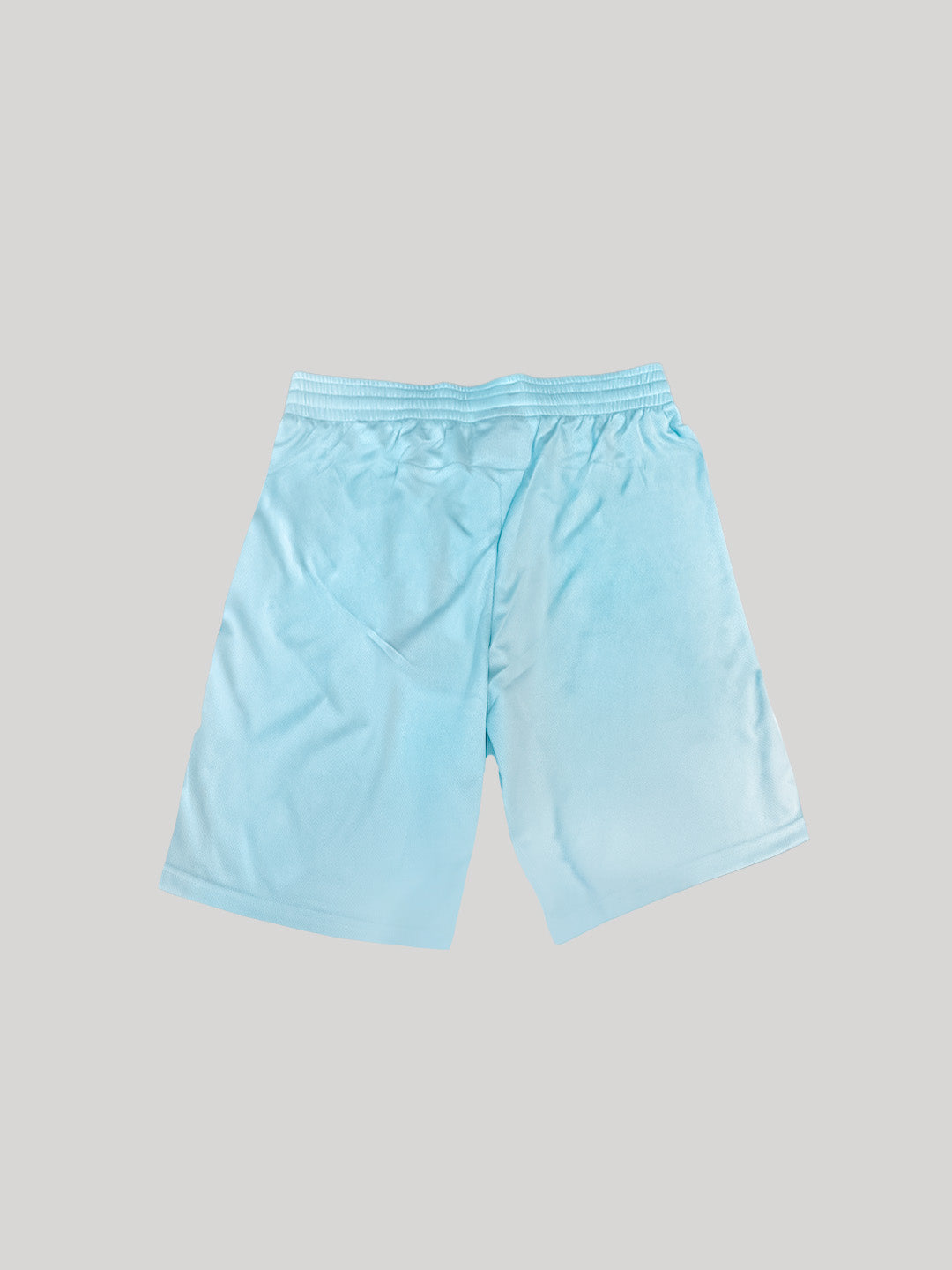 Training Shorts- Europe Collection