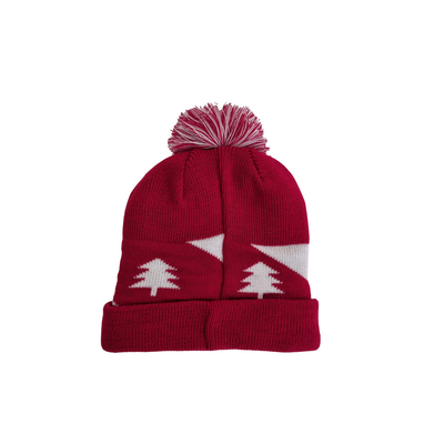 Bonnet de Noël 2022