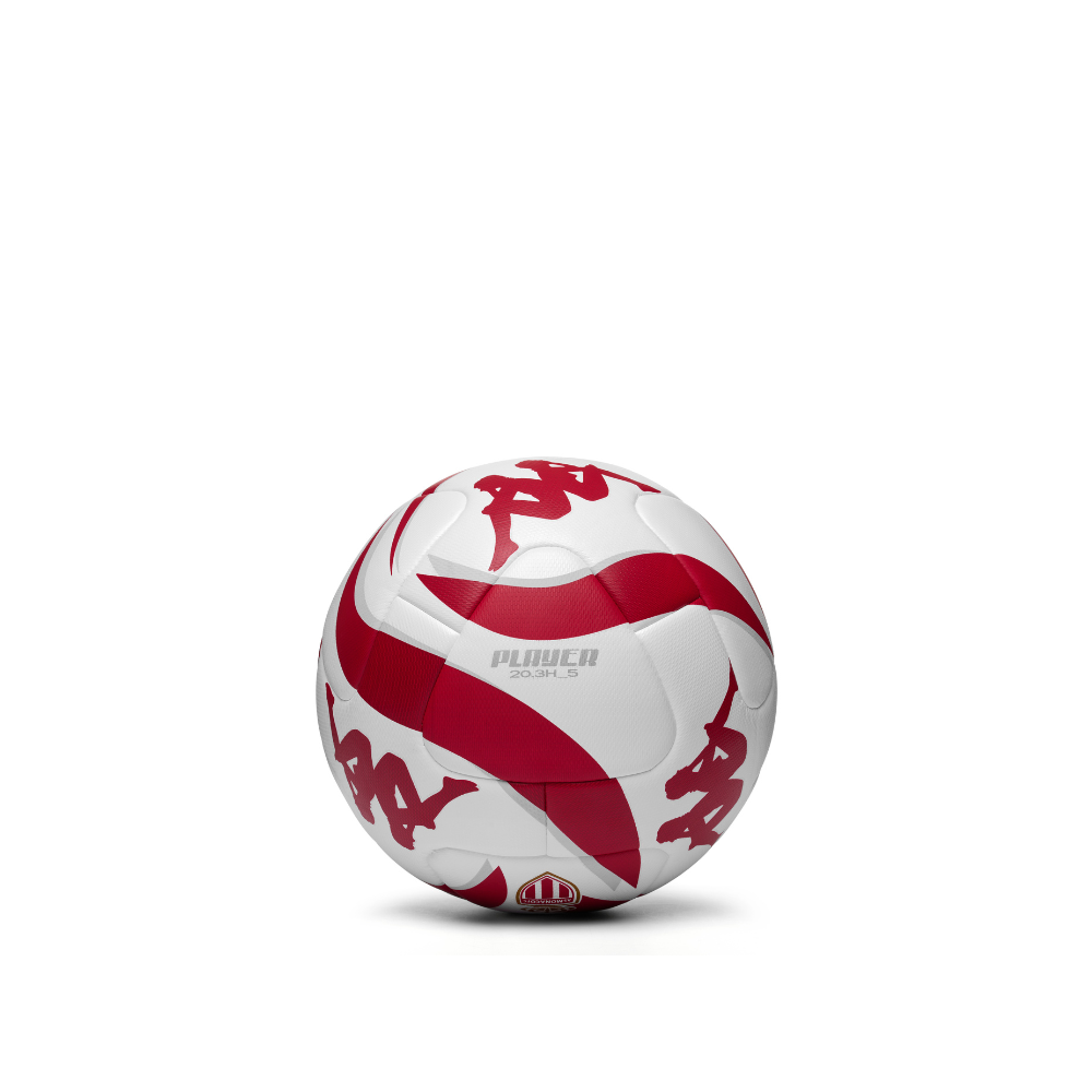 T1 Training ball 24-25